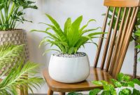 plant shelf in 2025 | Bookshelves in bedroom, Room inspiration, Room decor dark plant shelf in 2025 | Bookshelves in bedroom, Room inspiration, Room decor dark